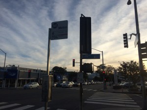 IMG_0646