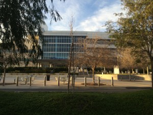 IMG_0651