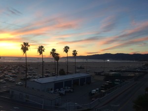 IMG_0662